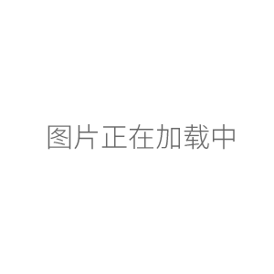 上海恒平JY3002電子天平300g/0.01g電子天平 電子秤電子稱